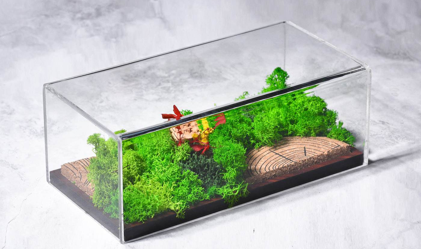 FOREVER TERRARIUM (PANORAMA)