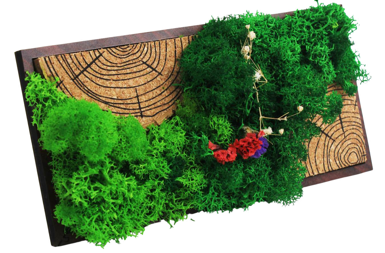 FOREST TILE (PANAROMIC) Wall frame