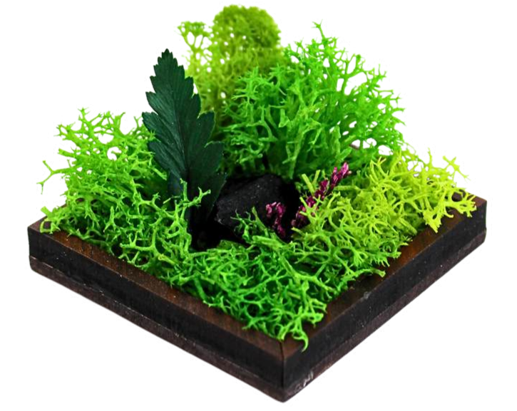 Forest Tile (Mini)