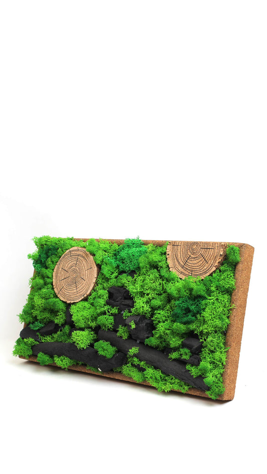 FOREST CHRONICLES (PANORAMA)
