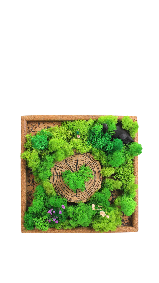 FOREST CHRONICLES