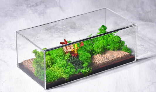 FOREVER TERRARIUM (PANORAMA)