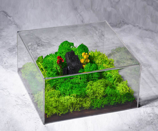 FOREVER TERRARIUM (CLASSIC)