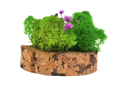 CORK C-GARDEN