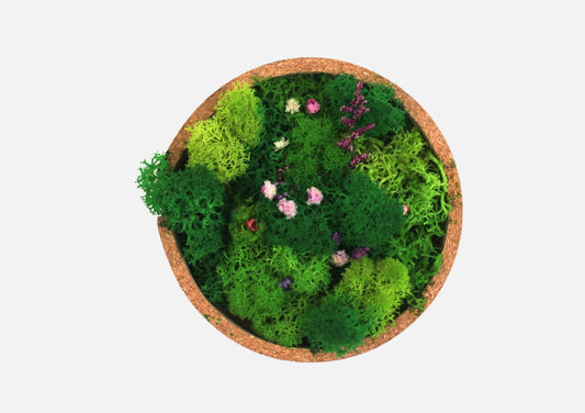 FOREST BOWL (BLOOM)
