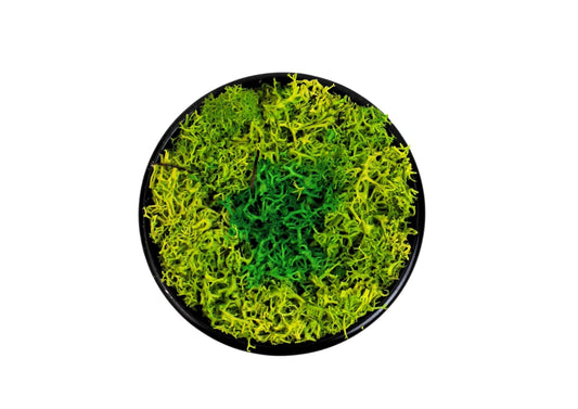 TIN CAP GRASS