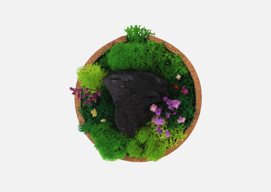 FOREST BOWL (SHADOW)